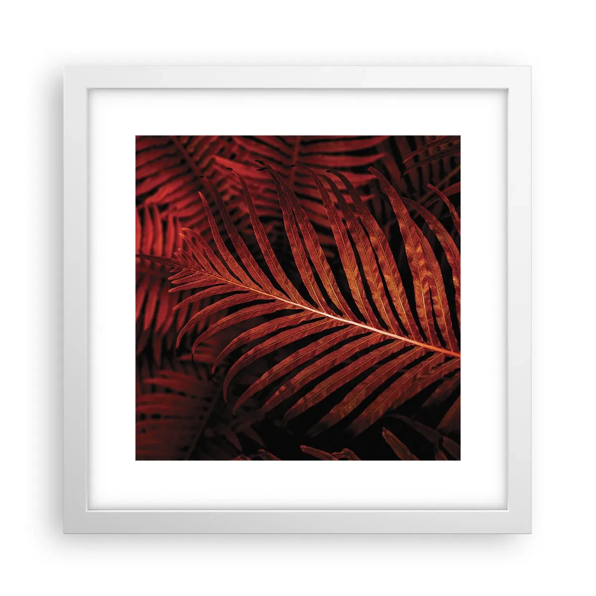 Pôster em moldura branca - O calor da vida - 30x30 cm