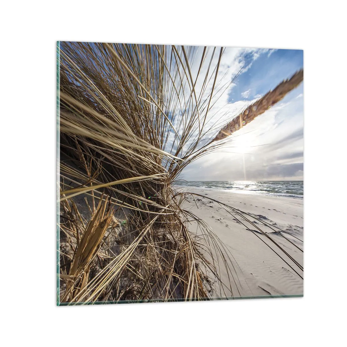 Quadro em vidro - Reunião dos rlementos da natureza - 30x30 cm
