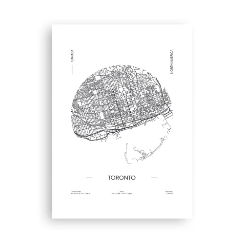 Pôster - Anatomia de Toronto - 50x70 cm