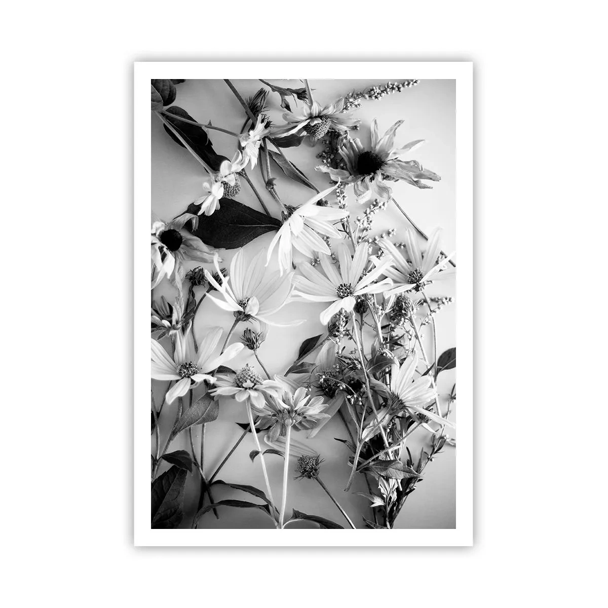 Pôster - Não é um ramo de flores - 70x100 cm