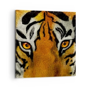 Quadro em tela - Perigoso e bonito - 50x50 cm