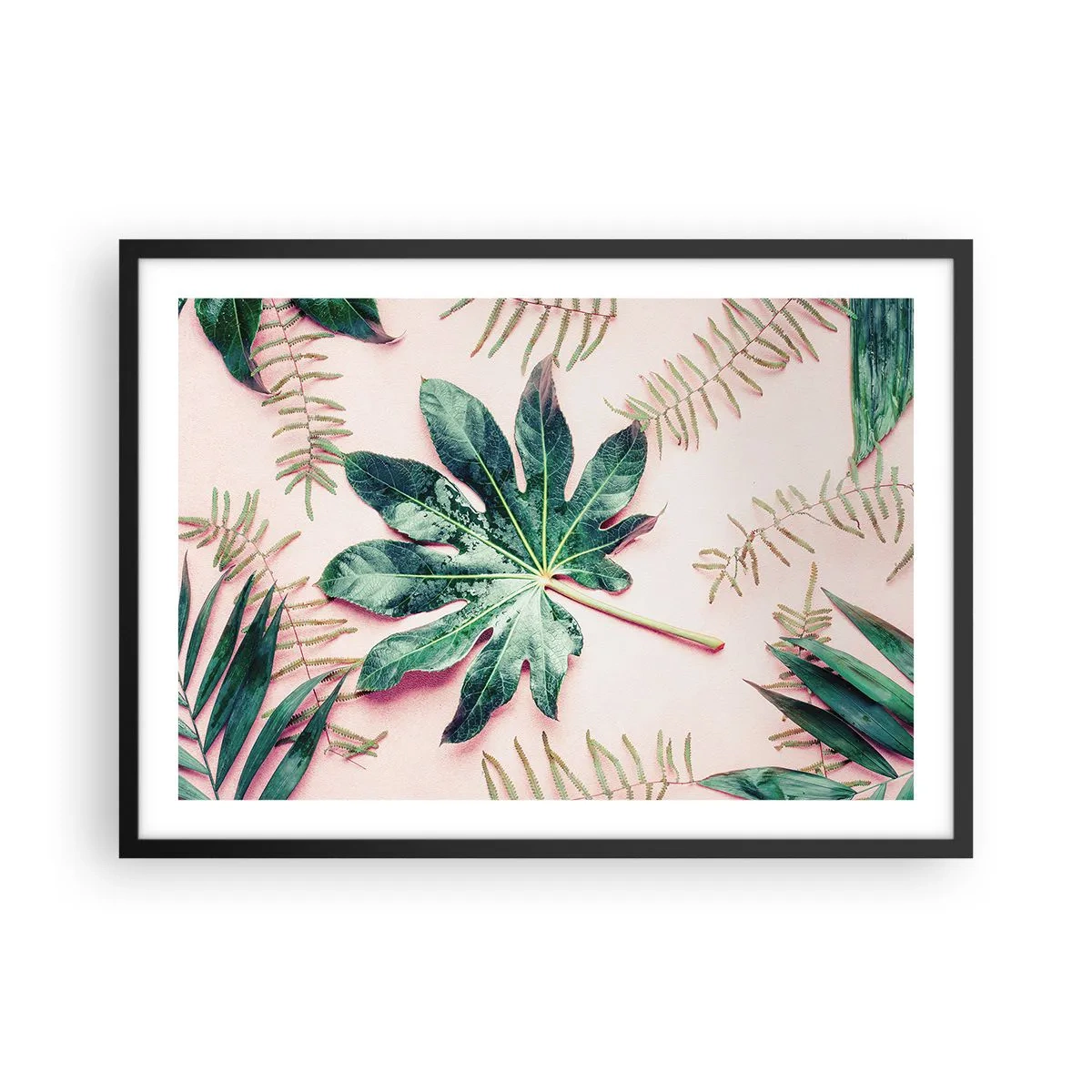Pôster com moldura preta - Estudo do verde em um fundo rosa - 70x50 cm