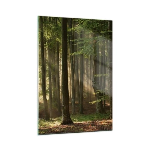 Quadro em vidro - Radiante em uma manhã de primavera - 50x70 cm