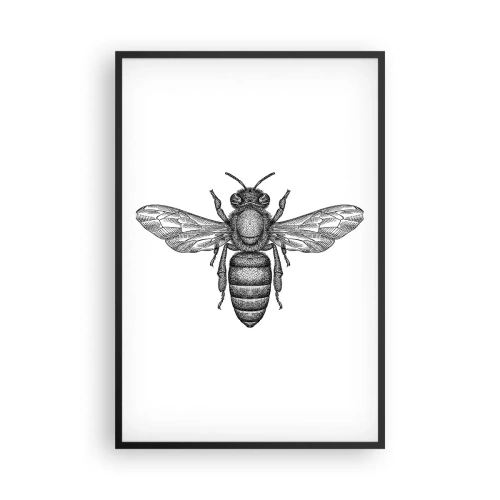 Pôster com moldura preta - Retrato de um inseto - 61x91 cm