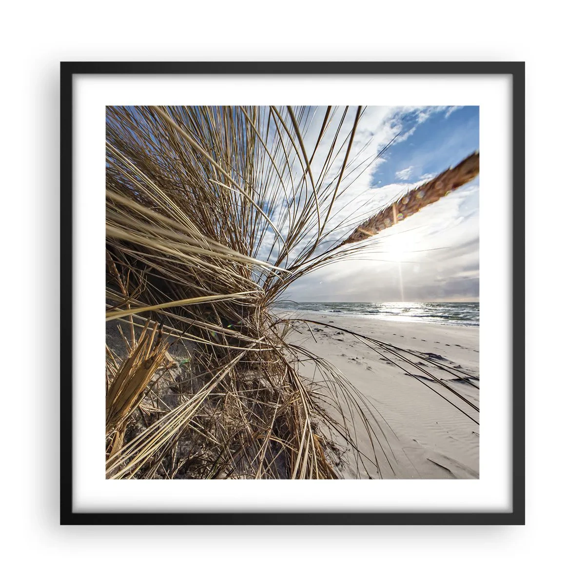 Pôster com moldura preta - Reunião dos rlementos da natureza - 50x50 cm