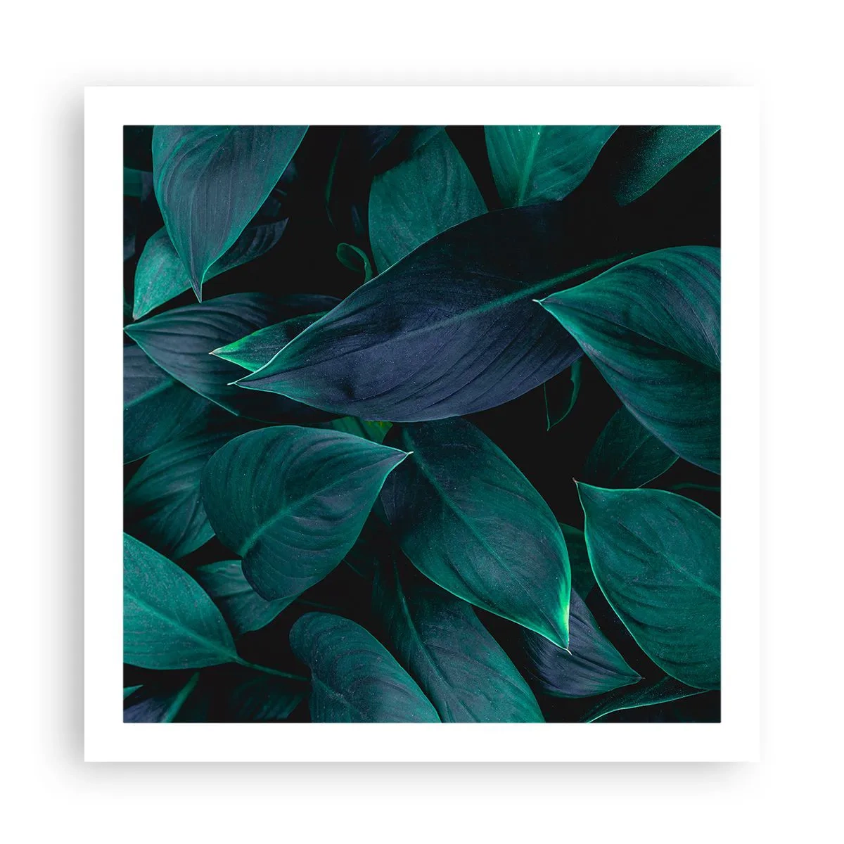 Pôster - Verde em si - 60x60 cm