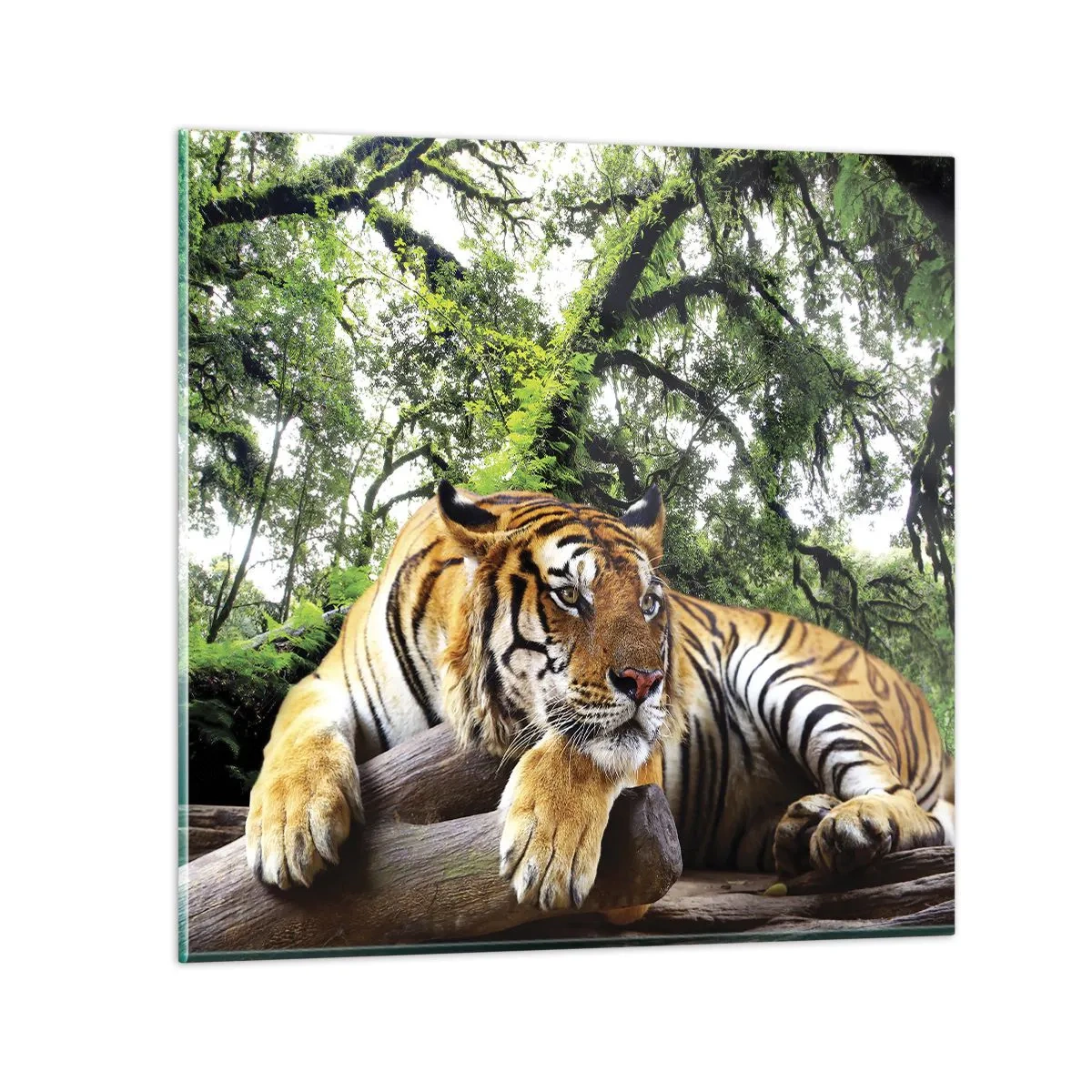 Quadro em vidro - Com os melhores cumprimentos - 60x60 cm