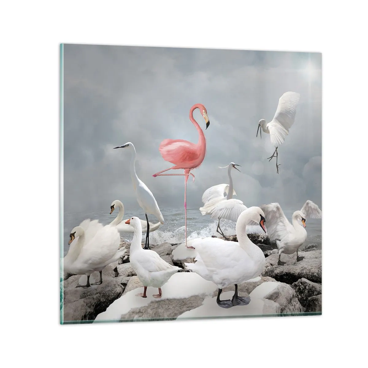 Quadro em vidro - Como vim parar aqui? - 60x60 cm