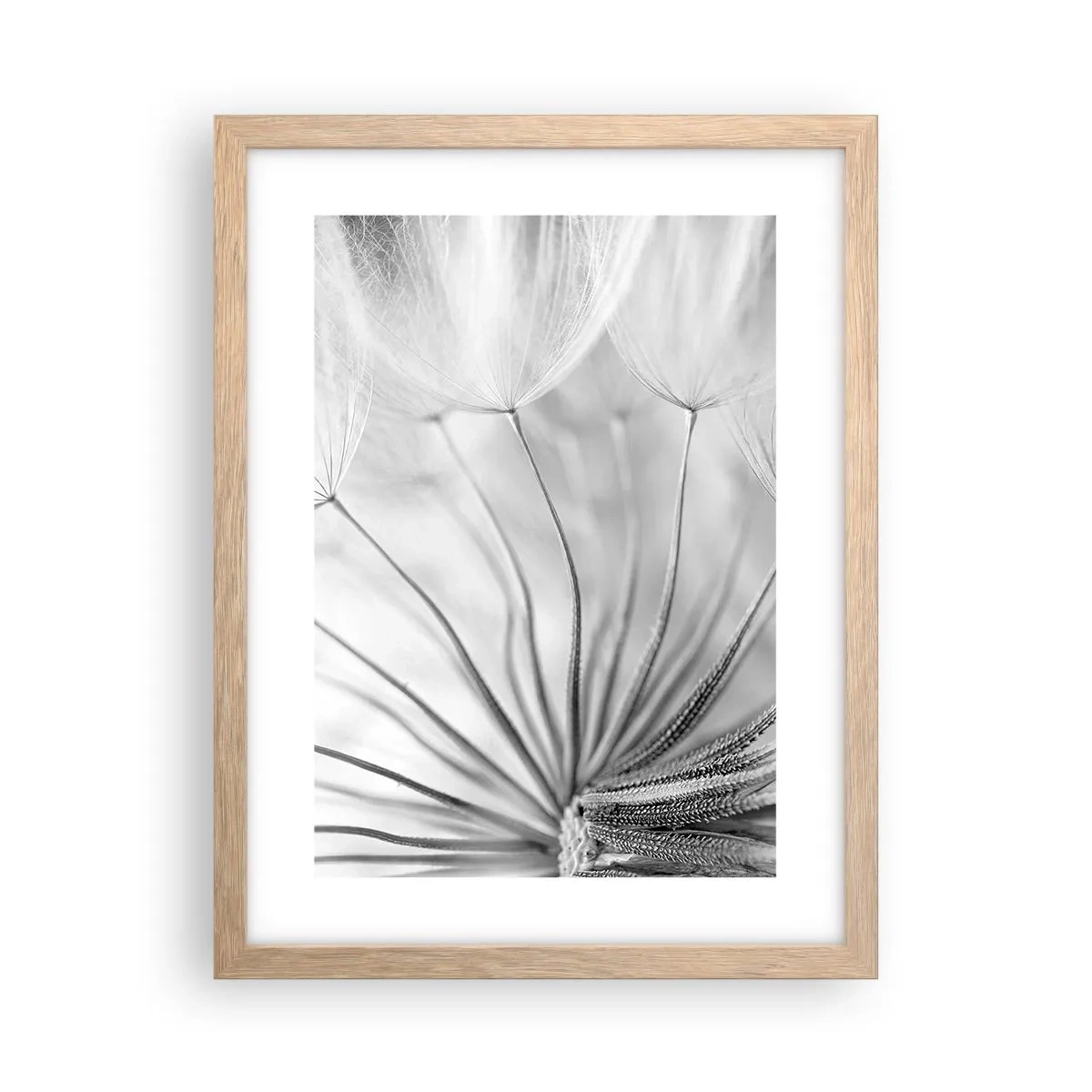 Pôster com moldura de carvalho claro - Dentes de leão, pipas - 30x40 cm