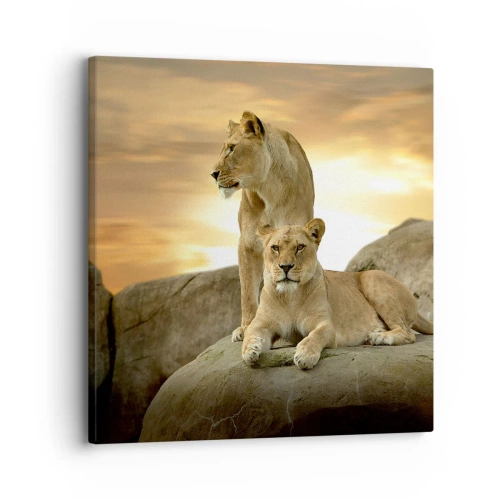 Quadro em tela - Majestade real - 30x30 cm