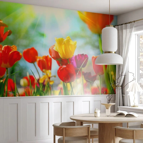Papel de Parede Premium Sand - Todas as cores do sol - Tulipas, Flores, Prado - 100x70 cm