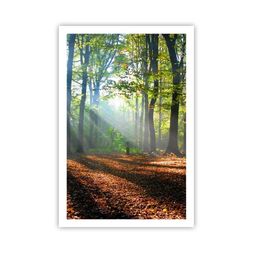 Pôster - Luzes e sombras - 61x91 cm