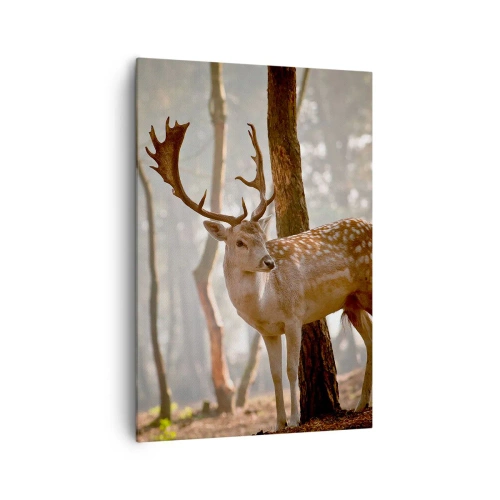 Quadro em tela - A Luz da Juventude - 70x100 cm