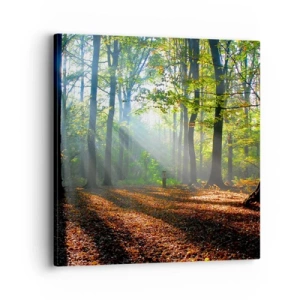 Quadro em tela - Luzes e sombras - 40x40 cm