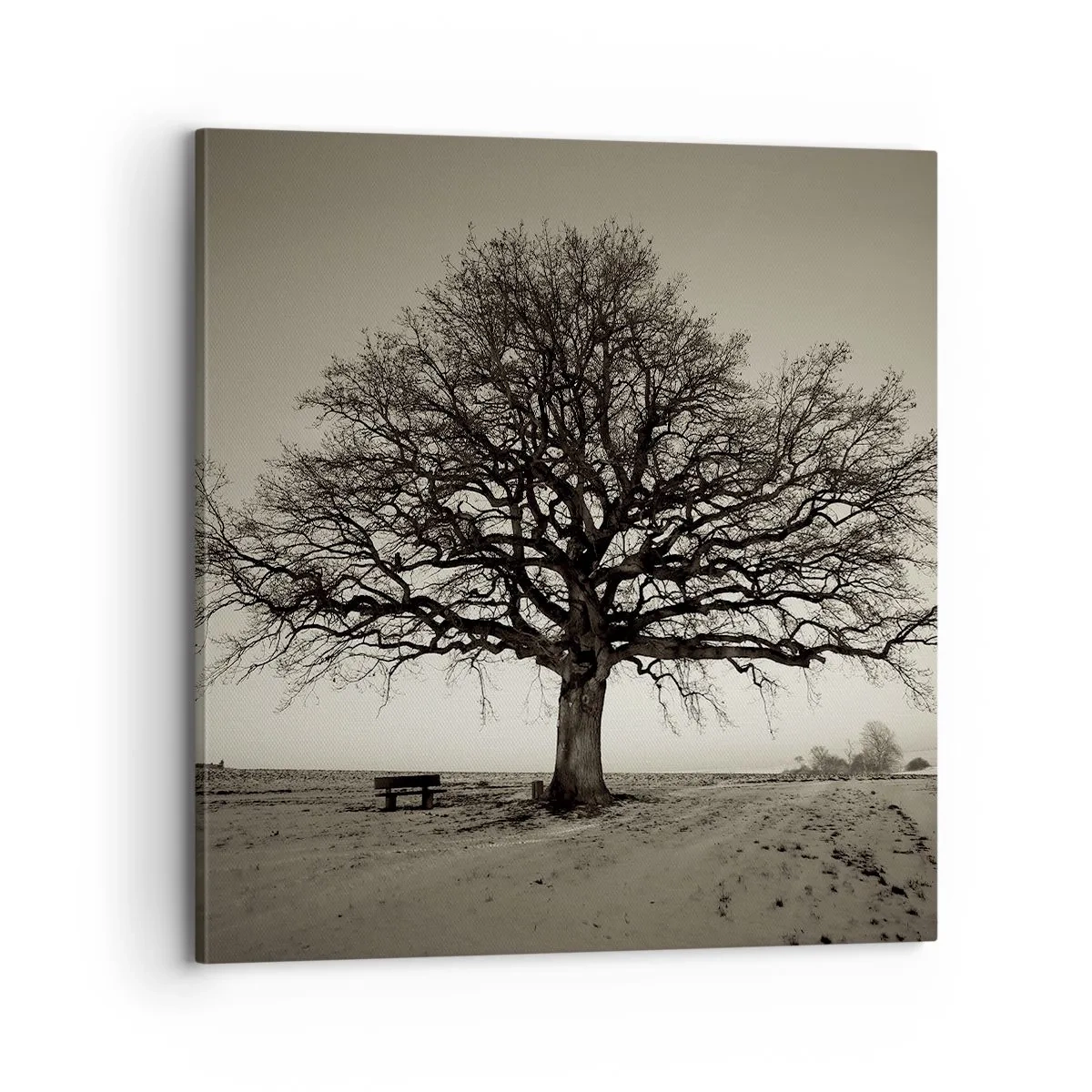 Quadro em tela - Daqui para a eternidade - 70x70 cm