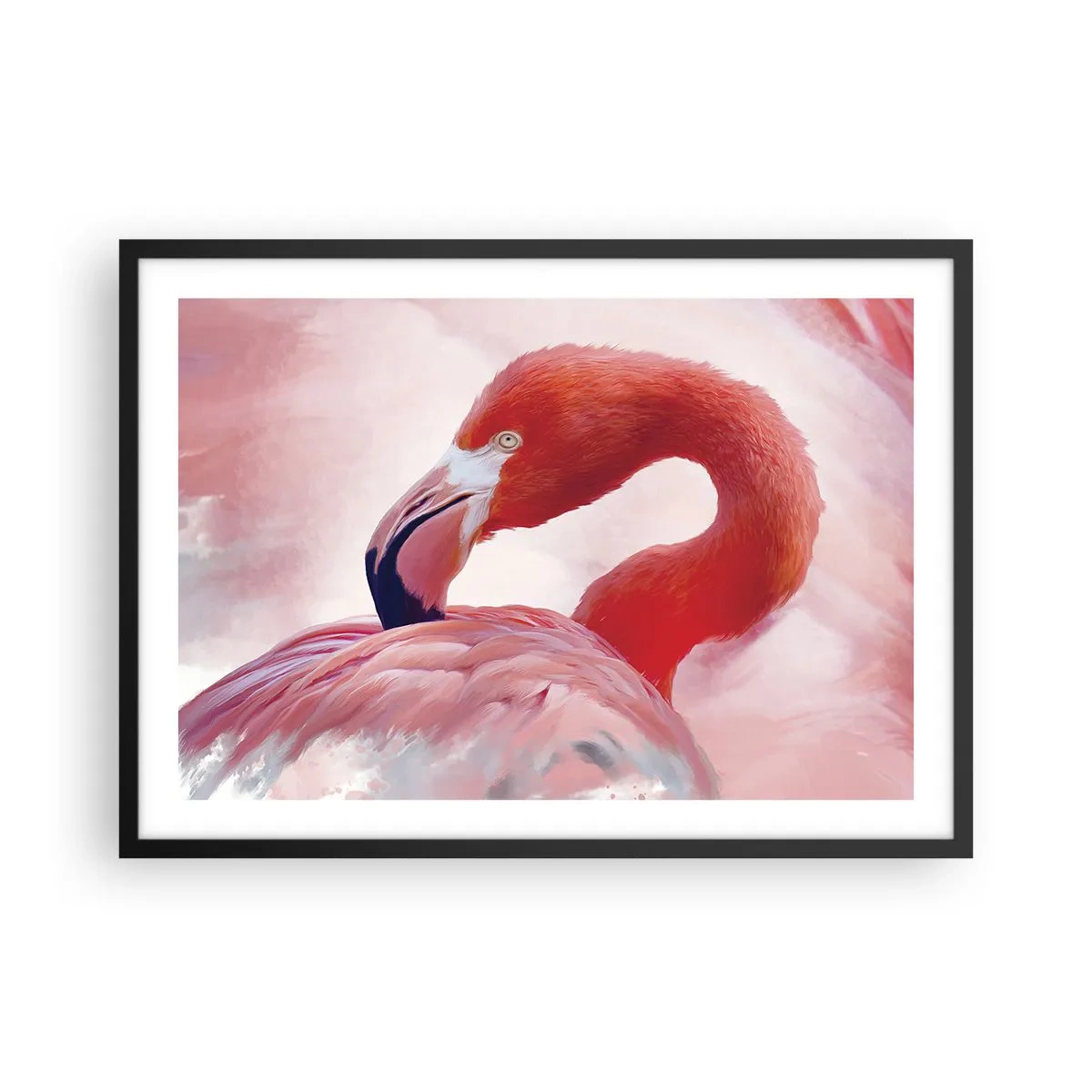 Pôster com moldura preta - Beleza das aves - 70x50 cm