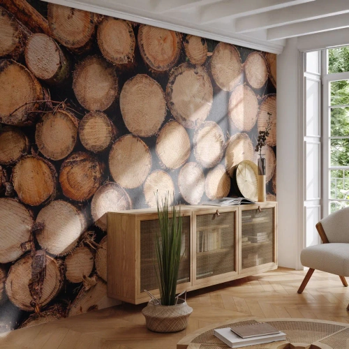 Papel de Parede Premium Sand - Um novo começo - Madeira, Troncos de madeira, Natureza - 300x210 cm