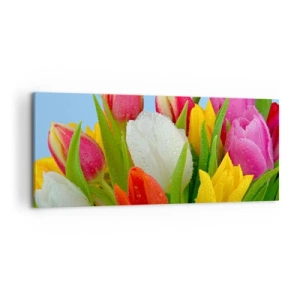 Quadro em tela - Arco-íris floral em gotas de orvalho - 120x50 cm