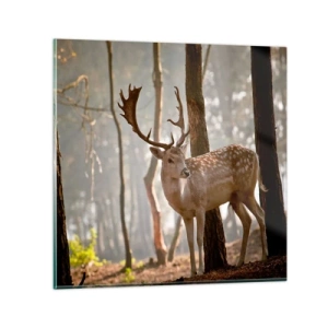 Quadro em vidro - A Luz da Juventude - 70x70 cm