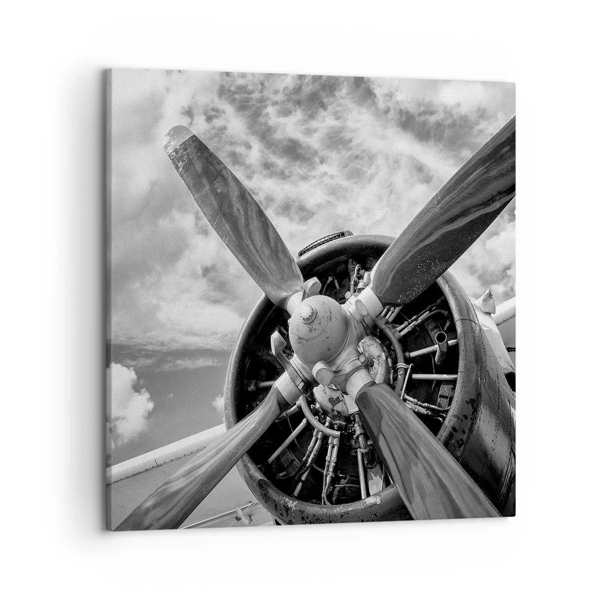 Quadro em tela - O conquistador dos céus - 50x50 cm