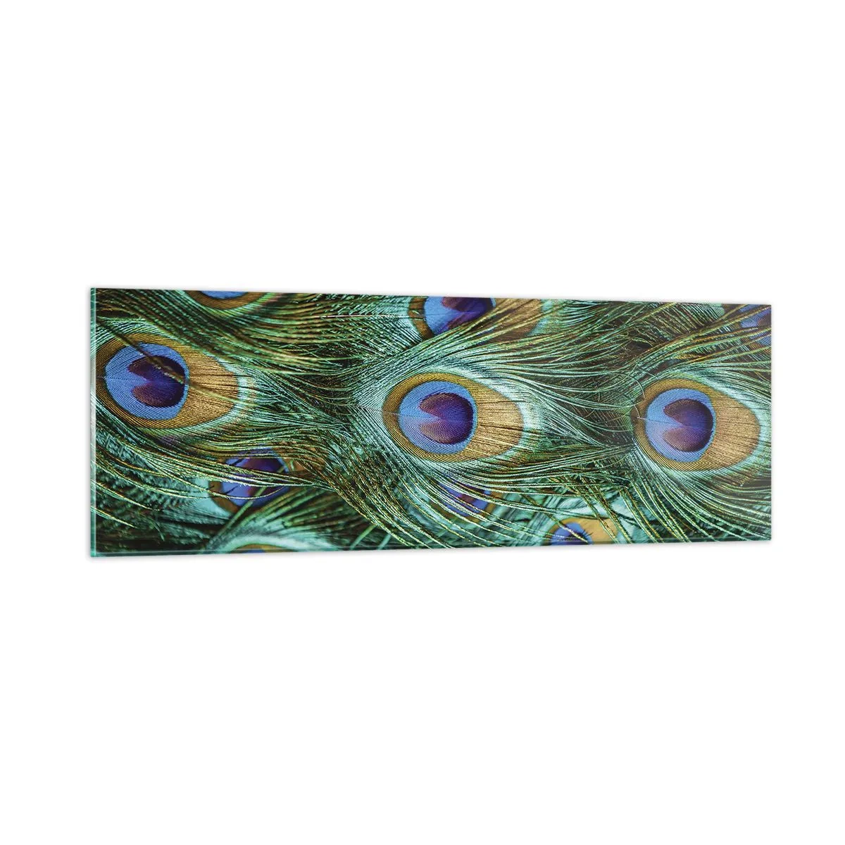 Quadro em vidro - Um olhar de pavão - 90x30 cm