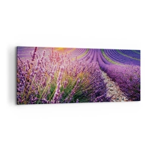 Quadro em tela - Prado perfumado - 100x40 cm