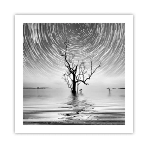 Pôster - Sinfonia da natureza - 50x50 cm