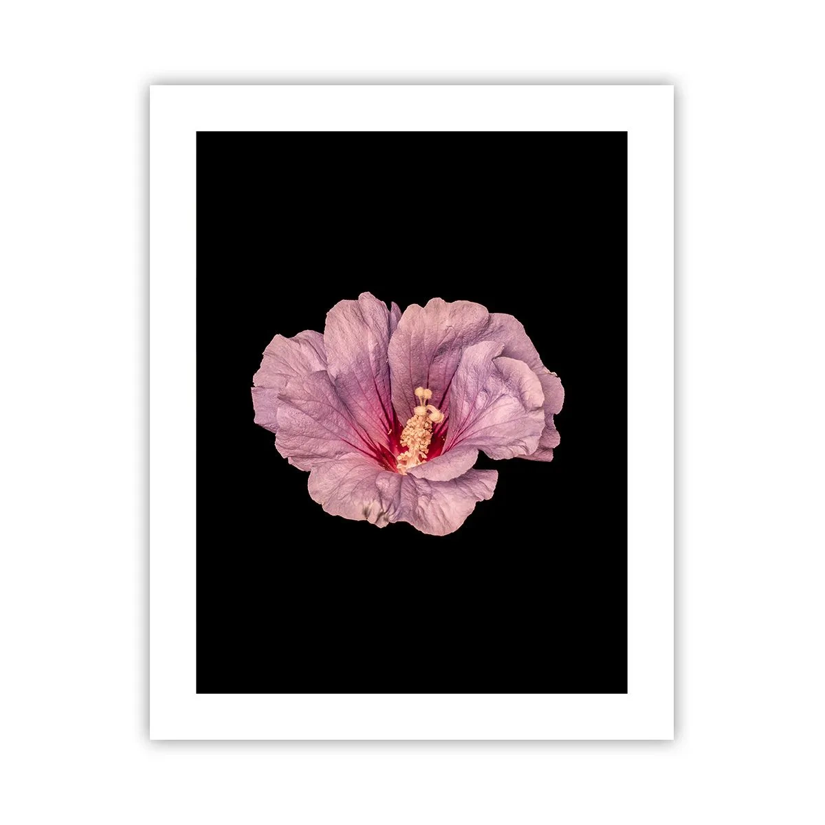 Pôster - Direto para o coração - 40x50 cm