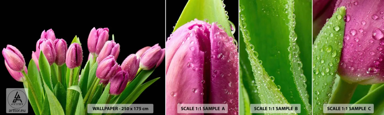 Amostra de Papel de Parede Standard Eco - Alegria lilás da primavera - Flores, Tulipas, Buquê de flores - 100x30 cm