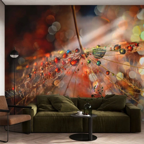 Papel de Parede Premium Canvas - Enroscado numa teia de aranha - Abstração, teia de aranha, Pedaço - 200x140 cm