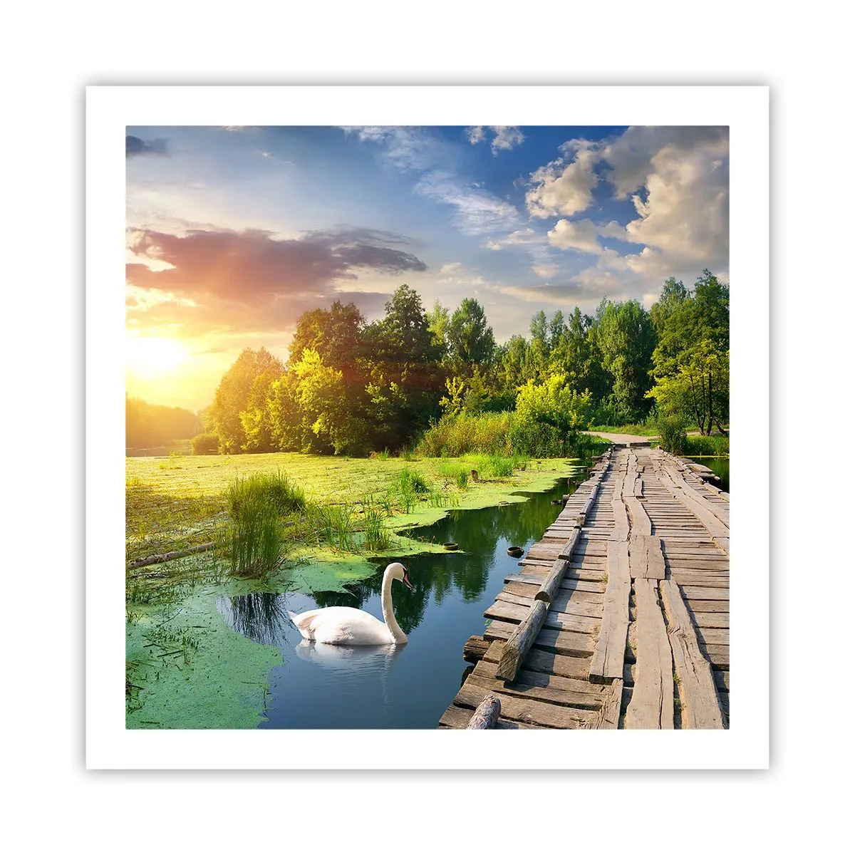 Pôster - Verão em todos os lugares - 60x60 cm