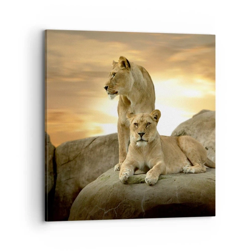 Quadro em tela - Majestade real - 70x70 cm