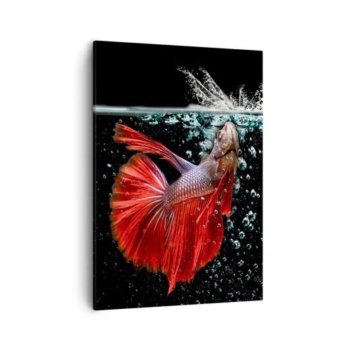 Quadro em tela - Tens três desejos - 50x70 cm