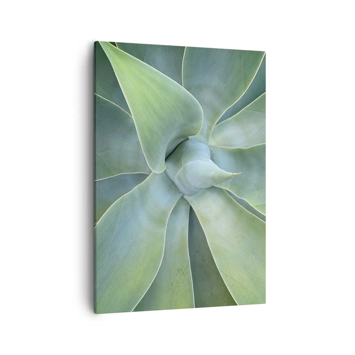 Quadro em tela - O nascimento da vegetação - 50x70 cm