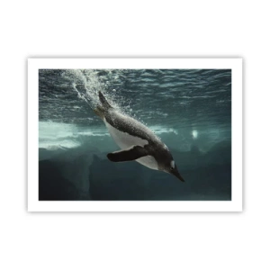 Pôster - Bem-vindo ao meu mundo - 70x50 cm