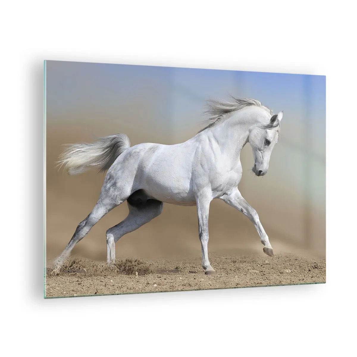 Quadro em vidro - Um cavalo branco galopando pelo chão arenoso - 70x50cm - O mais belo conto de fadas árabe - Decoração de parede moderna para a sala de estar e quarto ARTTOR