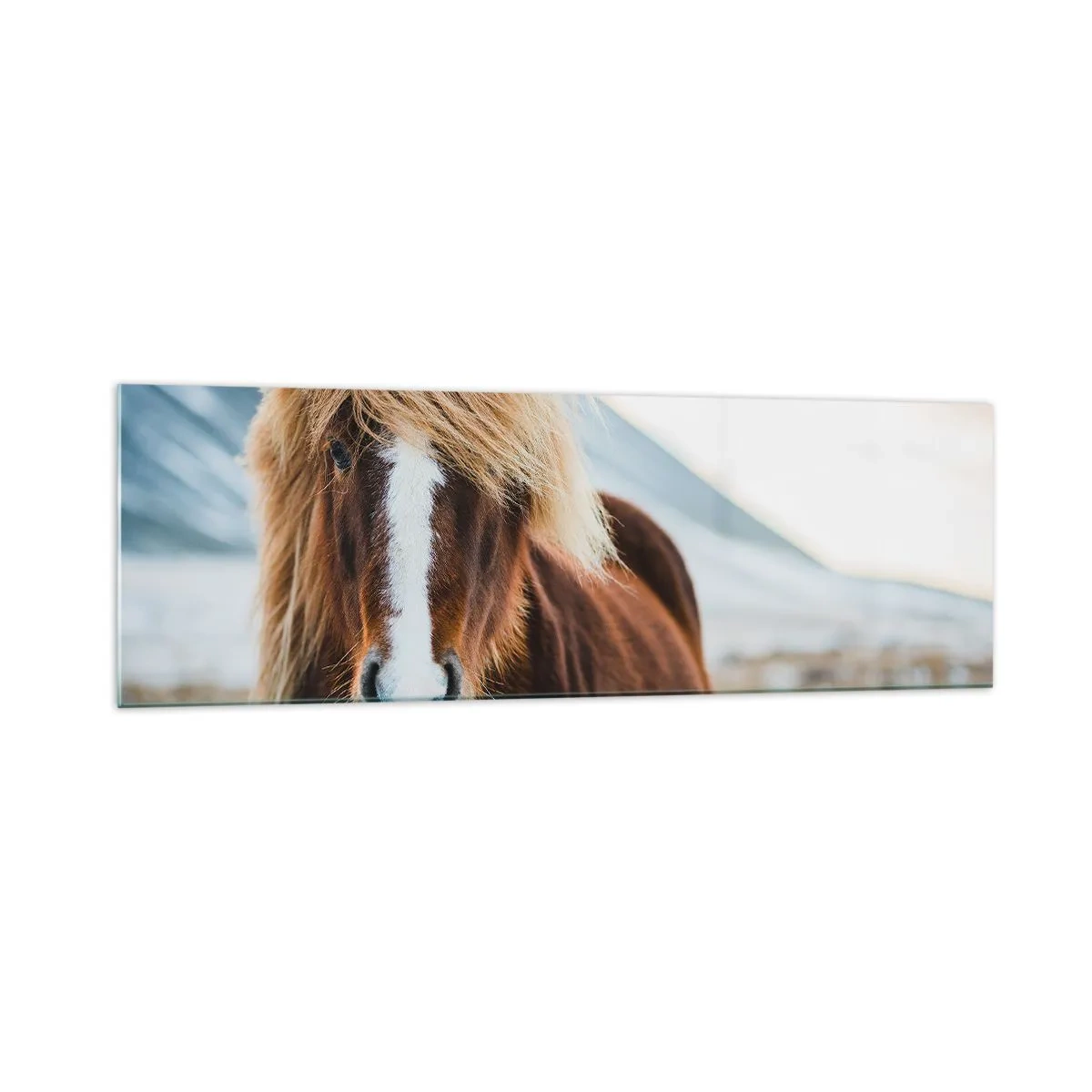 Quadro em vidro - Sentes a liberdade? - 160x50 cm