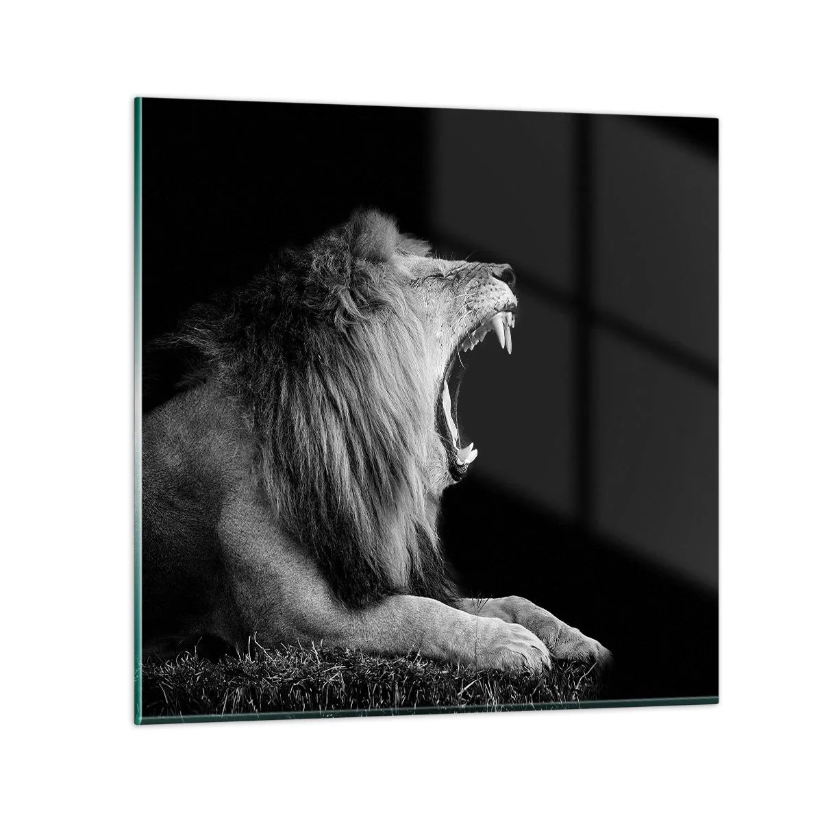 Quadro em vidro - Sem dúvida alguma - 50x50 cm