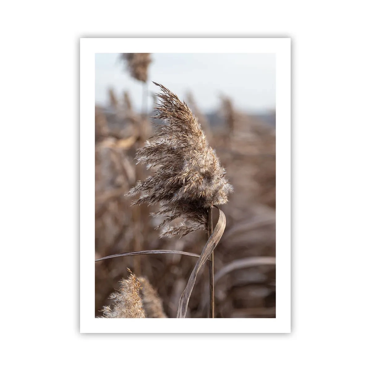 Pôster - É hora de voar com o vento - 50x70 cm