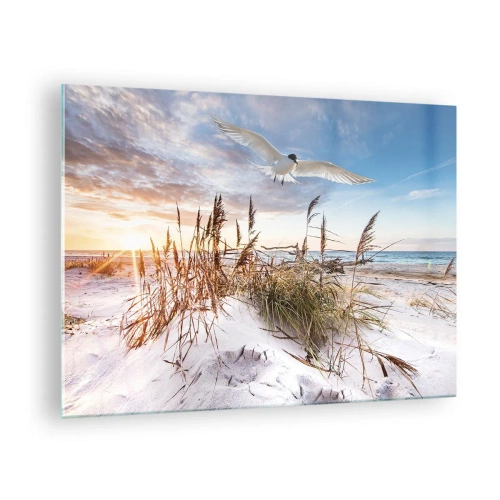 Quadro em vidro - Um pássaro voando sobre as dunas ao pôr do sol - 70x50cm - Vento do mar - Decoração de parede moderna para a sala de estar e quarto ARTTOR