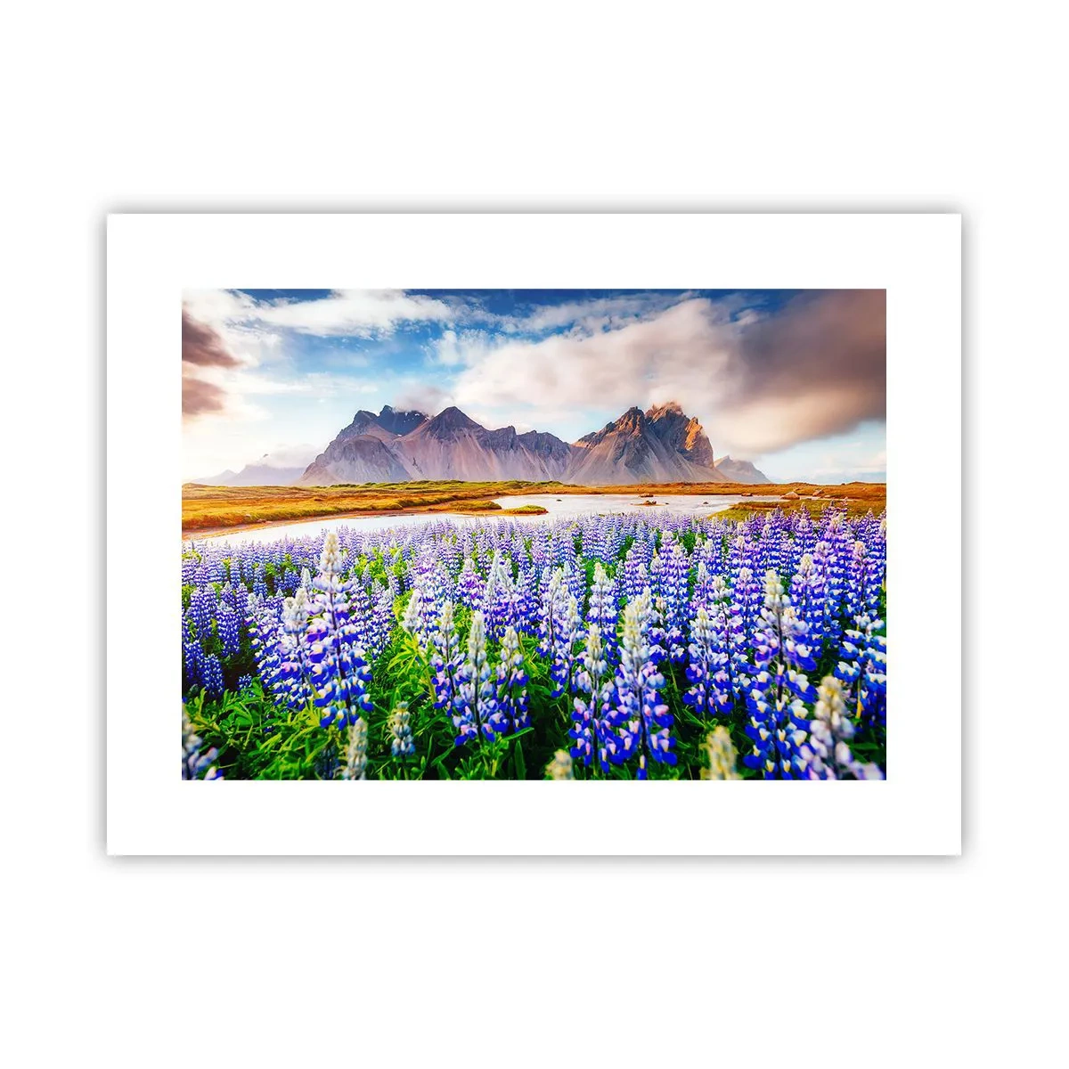 Pôster - Força e severidade ao lado da suavidade - 40x30 cm