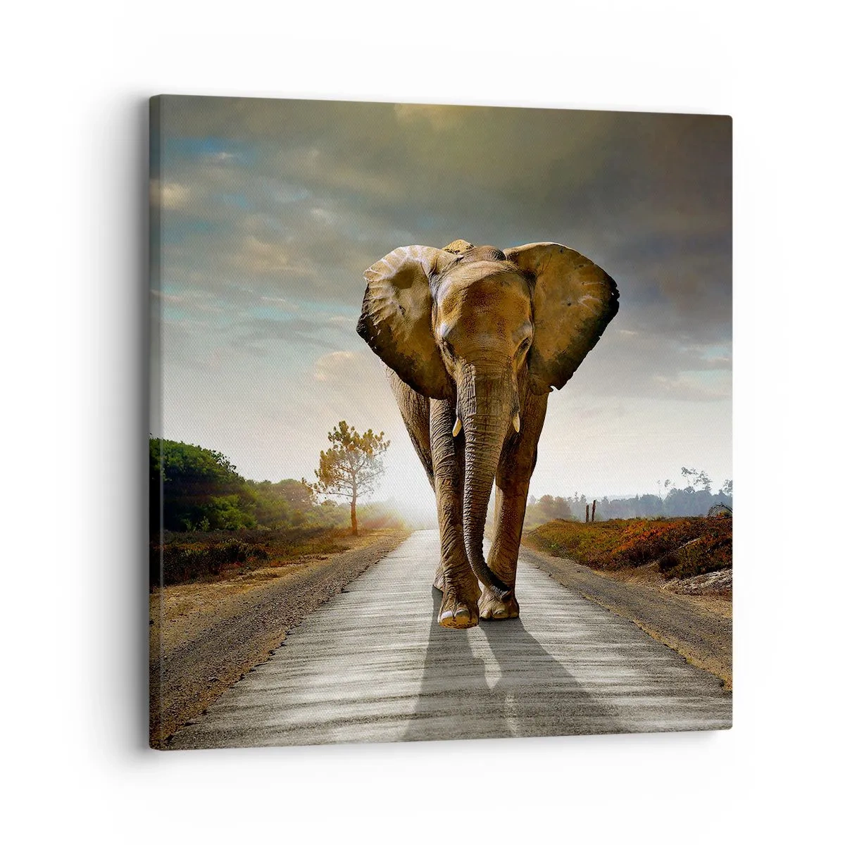 Quadro em tela - Não faz parte da composição da porcela - 30x30 cm