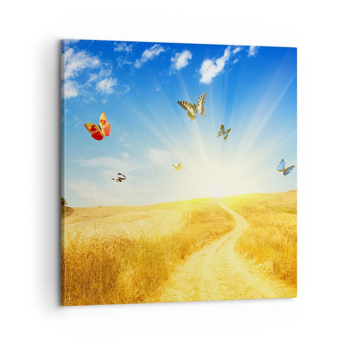 Quadro em tela - E como não amar o verão? - 60x60 cm