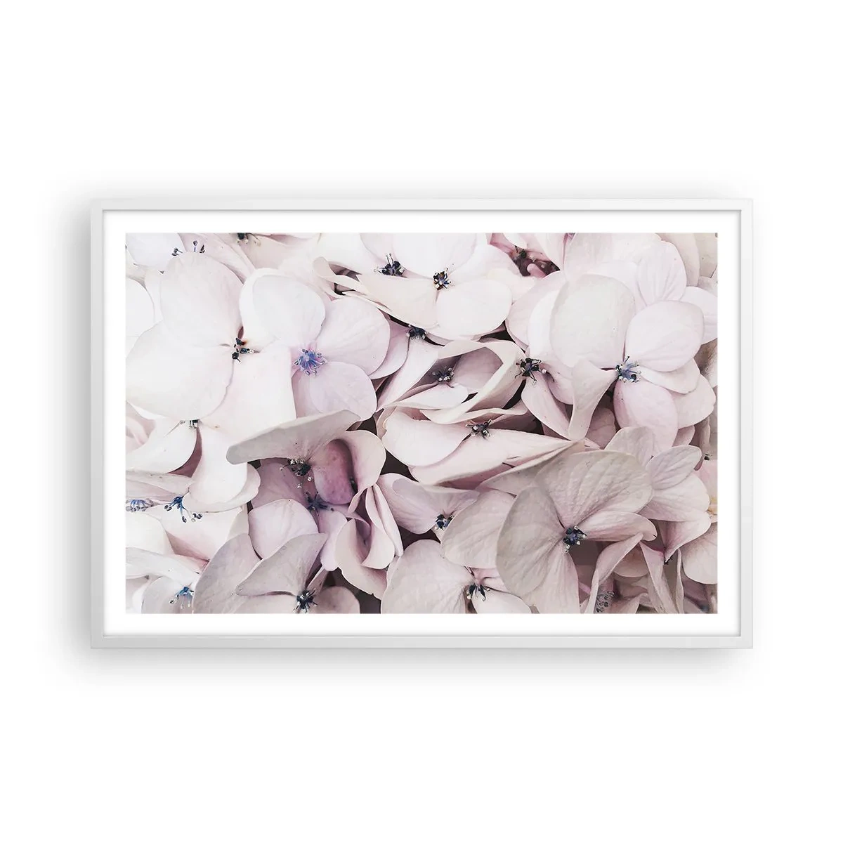Pôster em moldura branca - Em uma inundação de flores - 91x61 cm