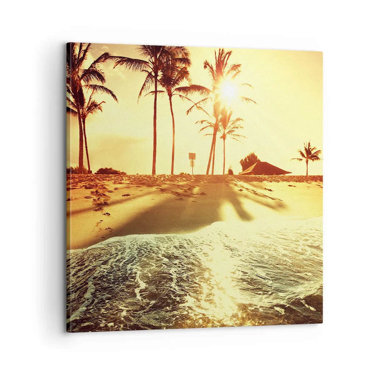 Quadro em tela - Califórnia à tarde - 60x60 cm