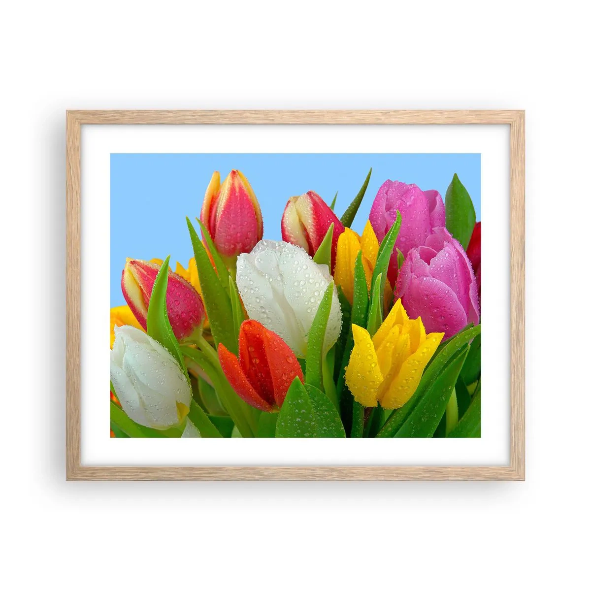 Pôster com moldura de carvalho claro - Arco-íris floral em gotas de orvalho - 50x40 cm