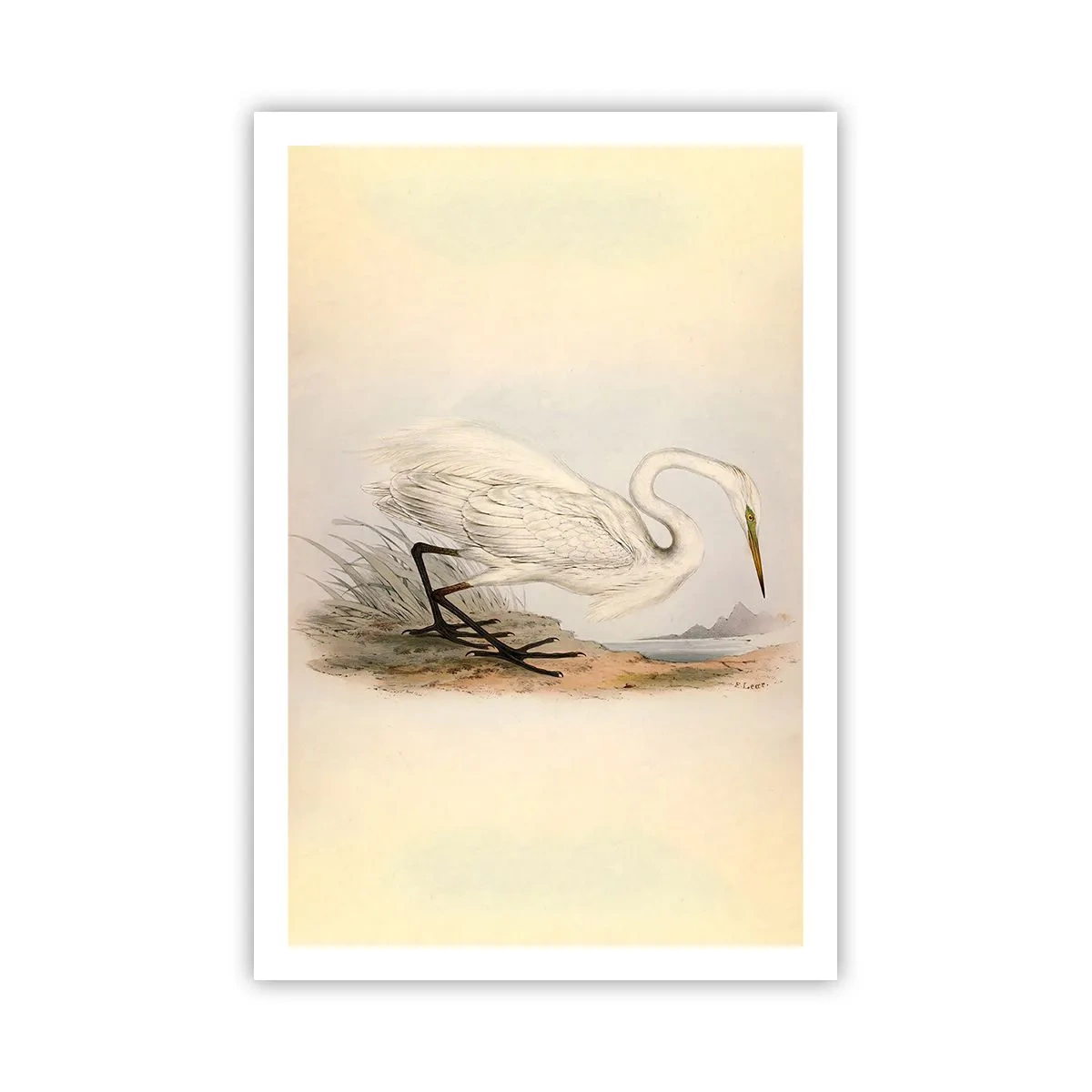 Pôster - A senhora nos juncos - 61x91 cm