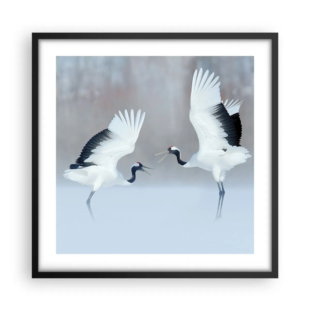 Pôster com moldura preta - Dança no nevoeiro - 50x50 cm
