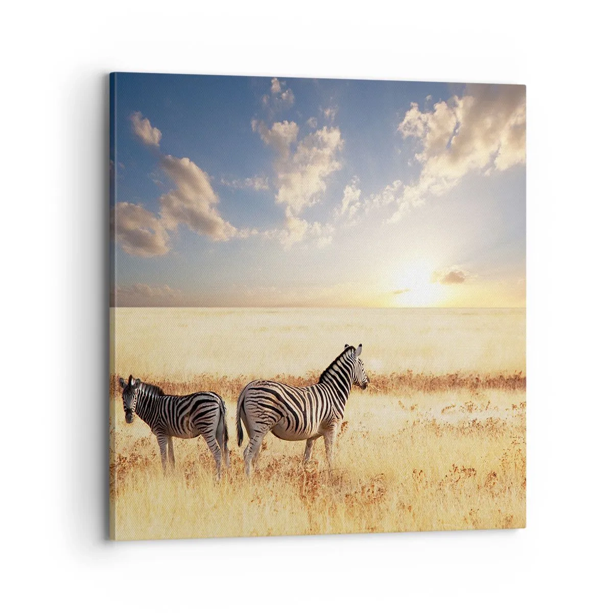 Quadro em tela - Vá embora, não perturbe - 70x70 cm