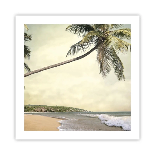 Pôster - Sonho tropical - 50x50 cm